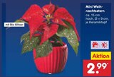 Mini Weihnachtsstern Angebote bei Netto Marken-Discount Wetzlar für 2,99 €