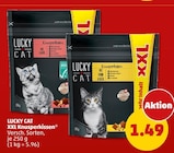 Aktuelles XXL Knusperkissen Angebot bei Penny in Moers ab 1,49 €