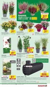 Blumen im aktuellen toom Baumarkt Prospekt (Köln) Blumen im toom Baumarkt Prospekt "Respekt, wer's selber macht." mit 16 Seiten (Köln)
