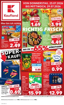 Waschmittel im aktuellen Kaufland Prospekt (Bremerhaven) Waschmittel im Kaufland Prospekt "Hier bin ich richtig" mit 65 Seiten (Bremerhaven)