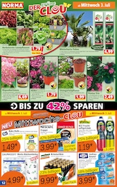 Ähnliche Angebote wie Erdbeerpflanzen im Prospekt "Mehr fürs Geld" auf Seite 12 von Norma in Heilbronn