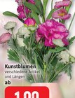 Kunstblumen Angebote bei Kaufhaus Stolz Neumünster für 1,99 €