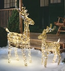 toom Baumarkt Oberstaufen - LED-Rentier 120 LEDs Angebot im Prospekt LED-Rentier 120 LEDs bei toom Baumarkt im Oberstaufen Prospekt für 24,99 €