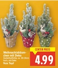 Weihnachtsbäumchen mit Deko im Angebot bei E center in Teltow Weihnachtsbäumchen mit Deko Angebote bei E center Teltow für 4,99 €