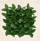 Panneau végétal artifi ciel dans le catalogue B&M