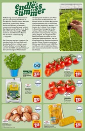 REWE Mais im Prospekt 