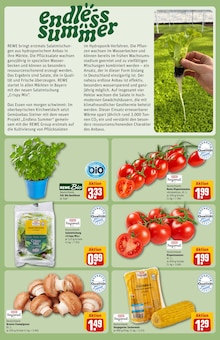 Salat im REWE Prospekt "Dein Markt" mit 32 Seiten (München)