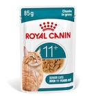 ROYAL CANIN Nourriture humide pour chats, Senior Ageing 11+, Sauce 12x85 g - ROYAL CANIN en promo chez Maxi Zoo ROYAL CANIN Nourriture humide pour chats, Senior Ageing 11+, Sauce 12x85 g - ROYAL CANIN dans le catalogue Maxi Zoo