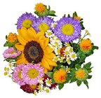Blumenstrauß im Angebot bei REWE in Erkelenz Blumenstrauß Angebote von REWE Regional bei REWE Erkelenz für 3,99 €