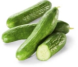 Netto Marken-Discount - Minigurken Angebot im Prospekt Minigurken bei Netto Marken-Discount im Prospekt "" für 1,99 €