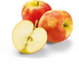 Aktuelle Äpfel Angebote bei Netto Marken-Discount in Mönchengladbach Aktuelles Äpfel rot Angebot bei Netto Marken-Discount in Mönchengladbach ab 1,49 €