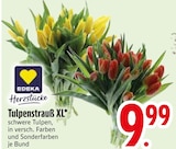 Tulpenstrauß XL im EDEKA Prospekt Tulpenstrauß XL von EDEKA im aktuellen EDEKA Prospekt für 9,99 €