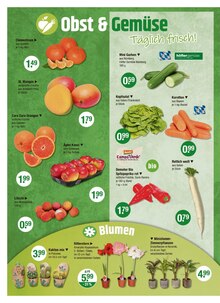 Gemüse im V-Markt Prospekt "V-Markt einfach besser einkaufen" mit 30 Seiten (Regensburg)