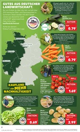 Pflanzen im Kaufland Prospekt in Dinslaken Aktueller Kaufland Prospekt mit Pflanzen, "KNÜLLER", Seite 18