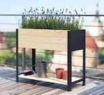 Hochbeet »Modernbox High S« von  im aktuellen Pflanzen Kölle Prospekt für 99,00 €