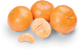 Netto Marken-Discount - Mandarinen Angebot im Prospekt Mandarinen bei Netto Marken-Discount im Prospekt "" für 2,99 €