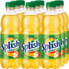 Apfelschorle von Splish für 3,49 € bei Netto mit dem Scottie im Angebot Apfelschorle von Splish im aktuellen Netto mit dem Scottie Prospekt