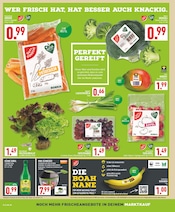 Obst im Marktkauf Prospekt in Münster Aktueller Marktkauf Prospekt mit Obst, "Aktuelle Angebote", Seite 2