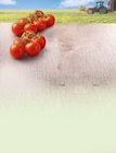 Aktuelles Rispentomaten Angebot bei Netto Marken-Discount in Nürnberg ab 1,89 €