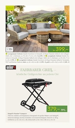 Tisch im Pflanzen Kölle Prospekt "FRÜHLINGS-FREUDE" auf Seite 13