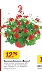 toom Baumarkt Butzbach - Sommerblumen-Ampel Angebot im Prospekt Sommerblumen-Ampel bei toom Baumarkt im Butzbach Prospekt für 12,99 €