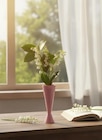 Vase Muguet 3 brins en promo chez Carrefour Metz à 2,99 €
