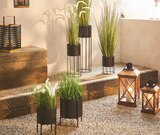 Pflanztopf Angebote von Ambia Home bei XXXLutz Möbelhäuser Hennef für 6,99 €