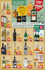 Aktueller REWE Prospekt mit Gin, "Dein Markt", Seite 25