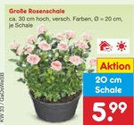 Große Rosenschale für 5,99 € bei Netto Marken-Discount im Angebot Große Rosenschale im aktuellen Netto Marken-Discount Prospekt