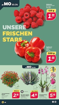 Aktueller Netto mit dem Scottie Prospekt "Günstig. Besser. Für Dich." Seite 2 von 37 Seiten für Jarmen