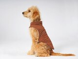 Hundejacke oder Hundepullover Angebote von ZooRoyal bei REWE Kaarst für 5,99 €