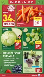 Aktueller ALDI Nord Prospekt mit Zimmerpflanzen, "Aktuelle Angebote", Seite 3