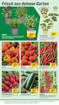 Tomaten im toom Baumarkt Prospekt "Respekt, wer's selber macht." mit 26 Seiten (Nürnberg)