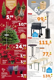 Blumentopf im Globus-Baumarkt Prospekt in Neuwied Aktueller Globus-Baumarkt Prospekt mit Blumentopf, "Immer eine Idee besser", Seite 7