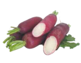 Rettich rot im V-Markt Prospekt Rettich rot von im aktuellen V-Markt Prospekt für 0,69 €