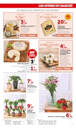 Prix et réduction Saint-Félicien dans le prospectus U Express en cours Offre Saint-Félicien dans le catalogue U Express du moment à la page 7