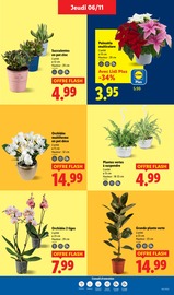 Orchidée Angebote im Prospekt "Votre quotidien à petits prix, ça vaut le coup." von Lidl Orchidée Angebote im Prospekt "Votre quotidien à petits prix, ça vaut le coup." von Lidl auf Seite 39