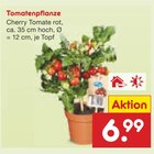 Tomatenpflanze im Angebot bei Netto Marken-Discount in Münster Tomatenpflanze Angebote bei Netto Marken-Discount Münster für 6,99 €