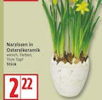 Narzissen in Ostereikeramik im aktuellen EDEKA Prospekt