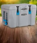 Kühlbox 52 Liter Angebote von Lifetime bei Netto Marken-Discount Hof für 149,99 €