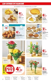 Plantes Angebote im Prospekt "Super U" von Super U Plantes Angebote im Prospekt "Super U" von Super U auf Seite 14