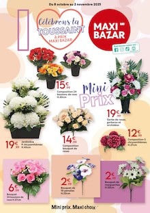 Catalogue Maxi Bazar de la semaine "Célébrons la TOUSSAINT À PRIX MAXI BAZAR" avec 1 pages, valide du 08/10/2025 au 02/11/2025 pour Fresnes et alentours Prospectus Maxi Bazar de la semaine "Célébrons la TOUSSAINT À PRIX MAXI BAZAR" avec 1 pages, valide du 08/10/2025 au 02/11/2025 pour Fresnes et alentours