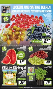 Aktueller EDEKA Prospekt für Münster mit  Seiten