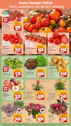 Pflanzen Angebot im aktuellen REWE Prospekt auf Seite 7