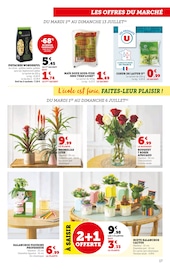 Jardinage Angebote im Prospekt "Super U" von Super U auf Seite 17