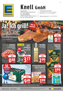 Aktueller EDEKA Prospekt "Aktuelle Angebote" für Dormagen Aktueller EDEKA Prospekt für Dormagen mit Seiten