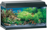 Aquarium-Set im Angebot bei Fressnapf in Emden Aquarium-Set Angebote von AniOne bei Fressnapf Emden für 109,00 €