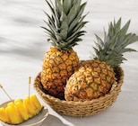 Ananas à 1,79 € dans le catalogue U Express
