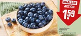 Aktuelle Obst Angebote bei REWE in Frankfurt (Main) Aktuelles Heidelbeeren Angebot bei REWE in Frankfurt (Main) ab 1,59 €