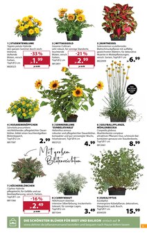Kräuter im aktuellen Dehner Garten-Center Prospekt (Hamburg) Kräuter im Dehner Garten-Center Prospekt "AKTUELLE ANGEBOTE" mit 16 Seiten (Hamburg)